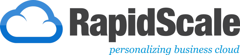 business people on Skype
